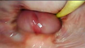 Amazing internal pov camera inside her pussy while i fill her with cum athina pussy