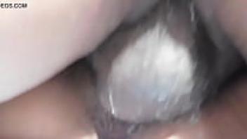 Esposa ninfomana capitulo 1 parte 5 me recontra coji al repartidor de las pizzas mucama esposa