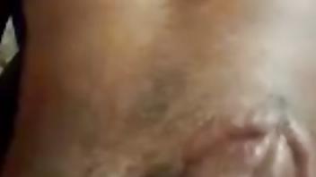 Alain litanda 243 858 669 044 