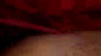 Roberto damini fa un cam show contro una ragazzina di 12 anni questa ragazzina