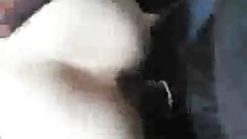 Ho housewife almost in tears while getting fucked by bbc african housewife