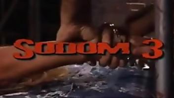 Sodom 3 iacute sodom