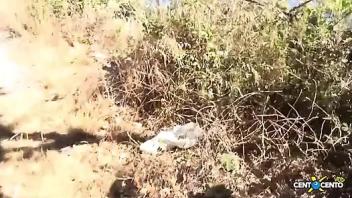 Fucking in the garden between horny neighbors full movie loves movie