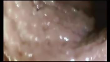 Journey to the inside of the pussykgt7cage lunas journey