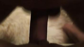 Czech amateurs the gorgeous czech amateur jana creampie czech