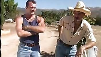 My dreams of shay sensual dreams