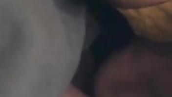 Kamie sidhu jerking scandal international student from india studies at university of canberra helps student