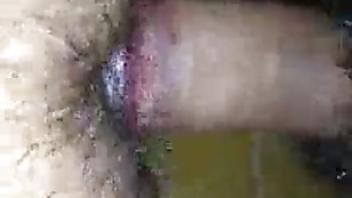 Breaking virginity family breaking