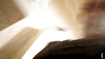 Jean louis lemaire luscious louis