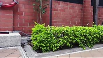 Two stepsisters give their new neighbor a threesome after the pool and he gets one of them pregnantaluno family threesome