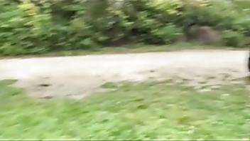 Open the ass for a stranger in the carhken black stranger