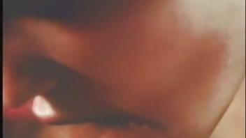 French fantasies france usa 1973 directors ray dennis steckler amp richard kornbacher hotties france